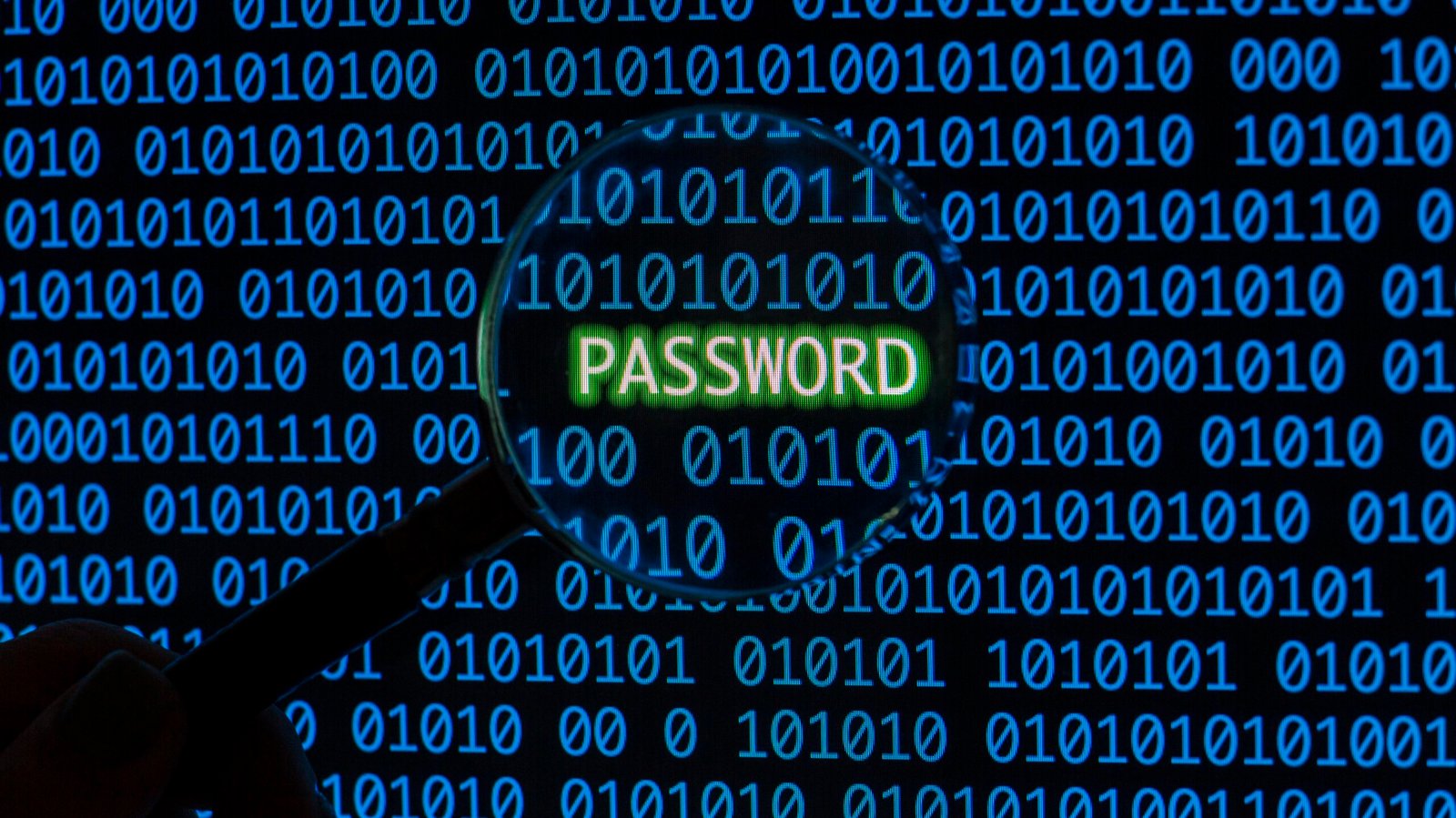 password-dados-senhas-empresa